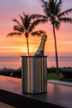 Laden Sie das Bild in den Galerie-Viewer, Flaschenkühler LOUNGE in Edelstahl matt